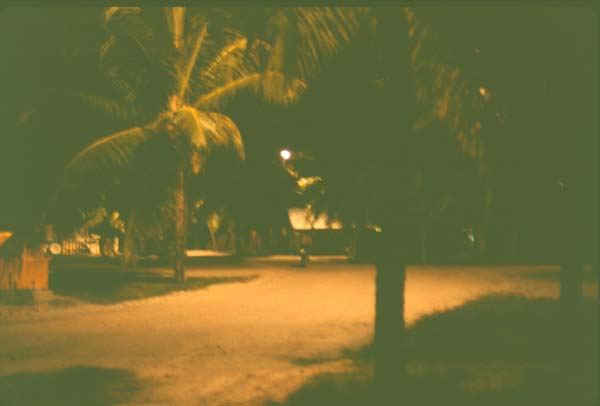 81_02_16_NightScene