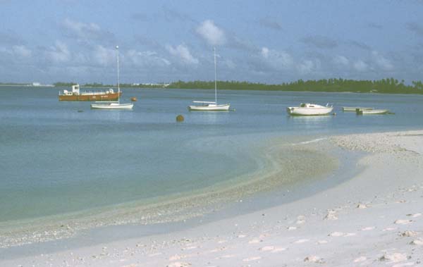 81_03_12_marina
