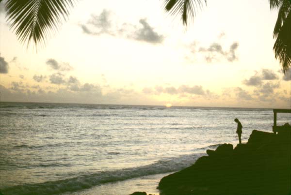 81_xx_X06_Sunset