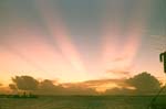 81_01_38_sunset