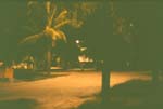 81_02_16_NightScene