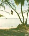 81_06_18_SailorSwingingFmPalm