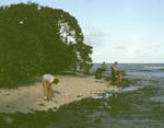 81_xx_X05_OGangLookingForShells