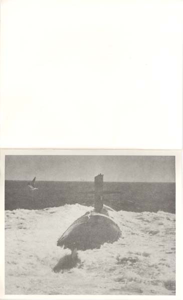 LaponCOC850328_10