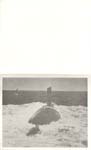 LaponCOC850328_10